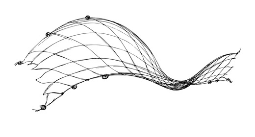 fishing net
